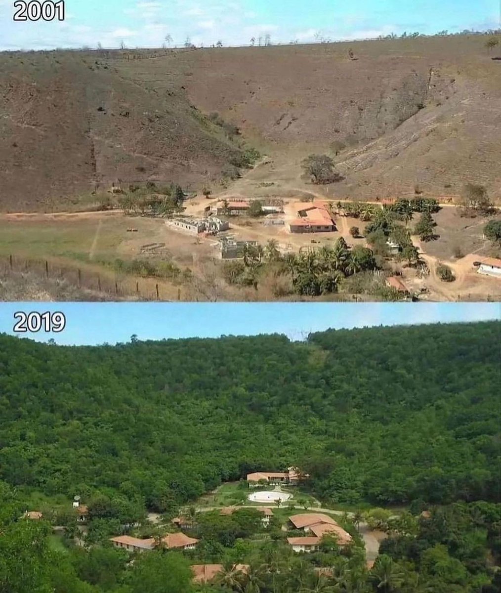 Ricamconsult's tweet photo. Sebastião Salgado e sua esposa reflorestaram 1.500 acres de terra em MG, plantando 2 milhões de árvores em 20 anos, resultando no retorno de 172 espécies de aves e 33 espécies de mamíferos. A Terra pode se regenerar sob as condições certas. #reflorestamento #sebastiaosalgado https://t.co/y7iCrro8db