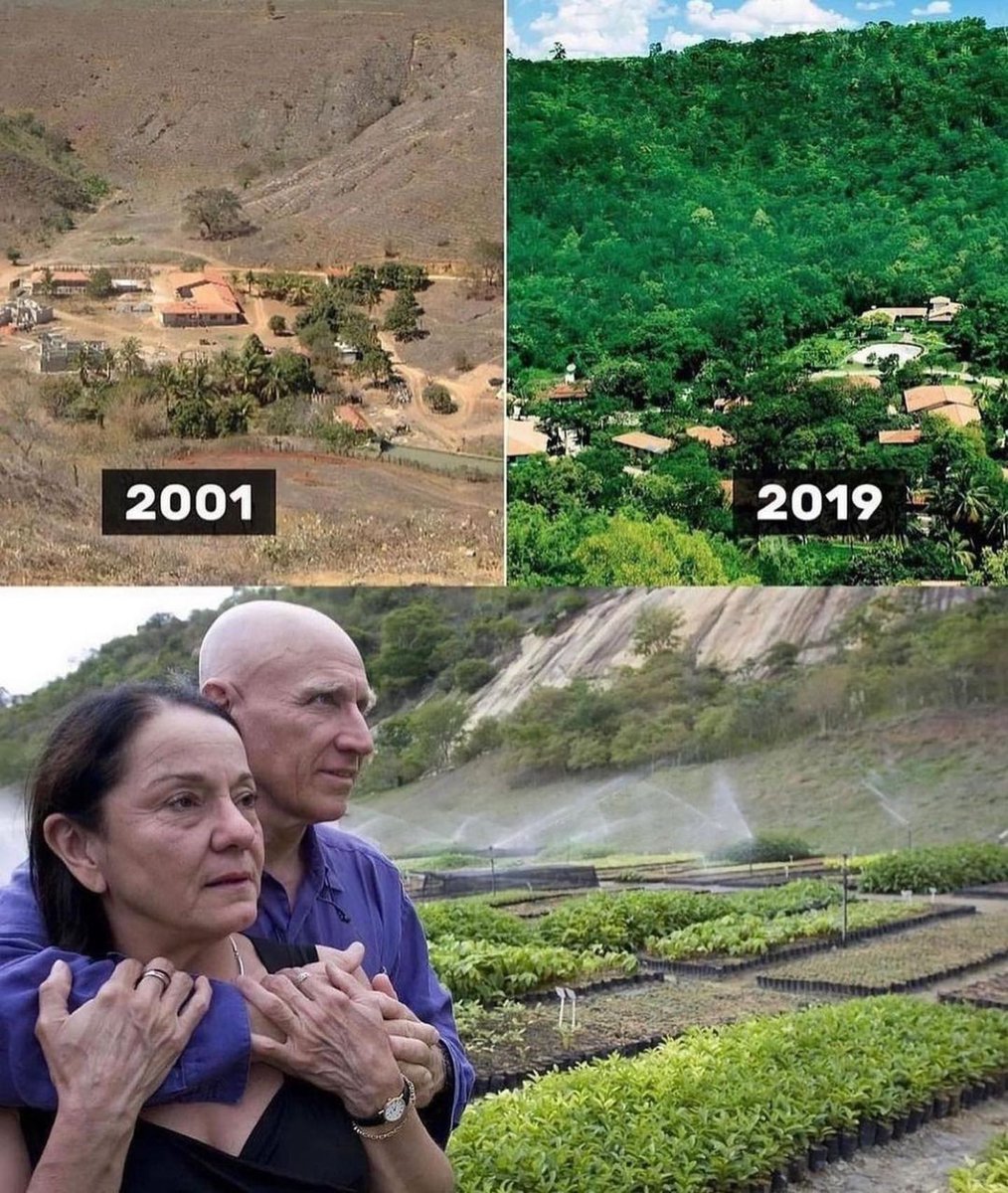 Ricamconsult's tweet photo. Sebastião Salgado e sua esposa reflorestaram 1.500 acres de terra em MG, plantando 2 milhões de árvores em 20 anos, resultando no retorno de 172 espécies de aves e 33 espécies de mamíferos. A Terra pode se regenerar sob as condições certas. #reflorestamento #sebastiaosalgado https://t.co/y7iCrro8db