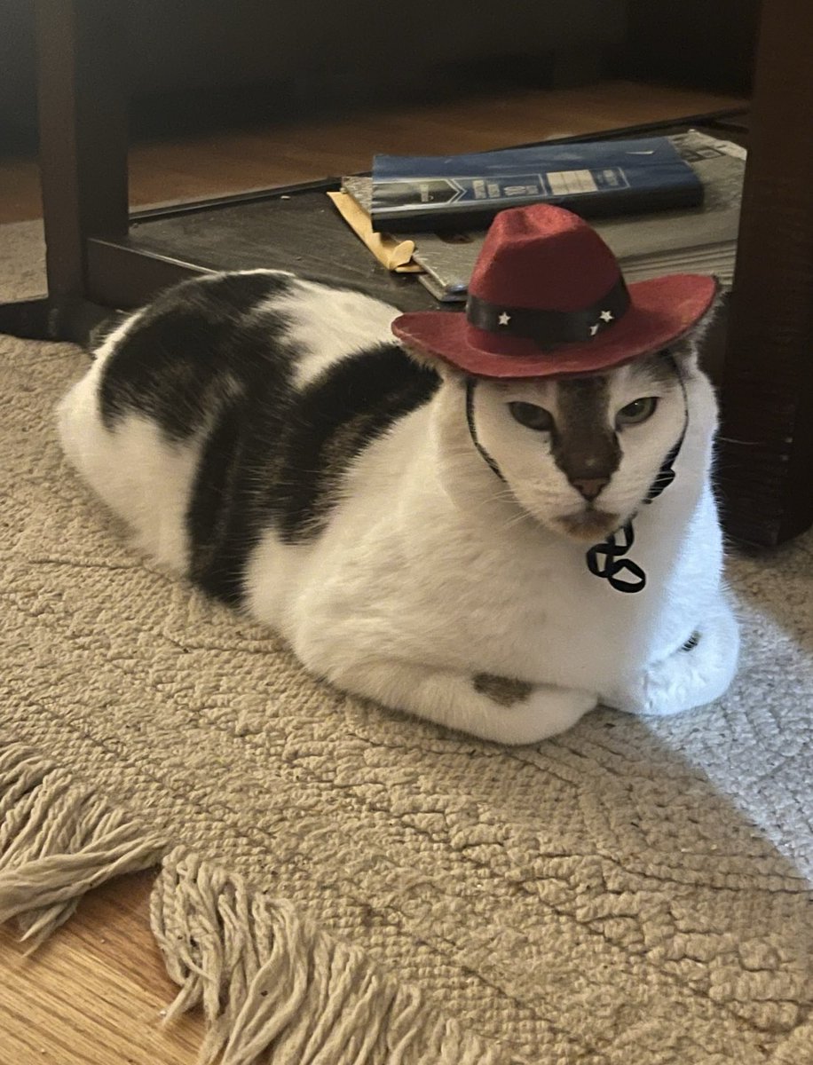 averie_'s tweet photo. Rest in peace buddy you got me through the absolute best and worst of times I thought I had so much time left with you. I know you know how absolutely loved you were. https://t.co/wxkFtIGcjd