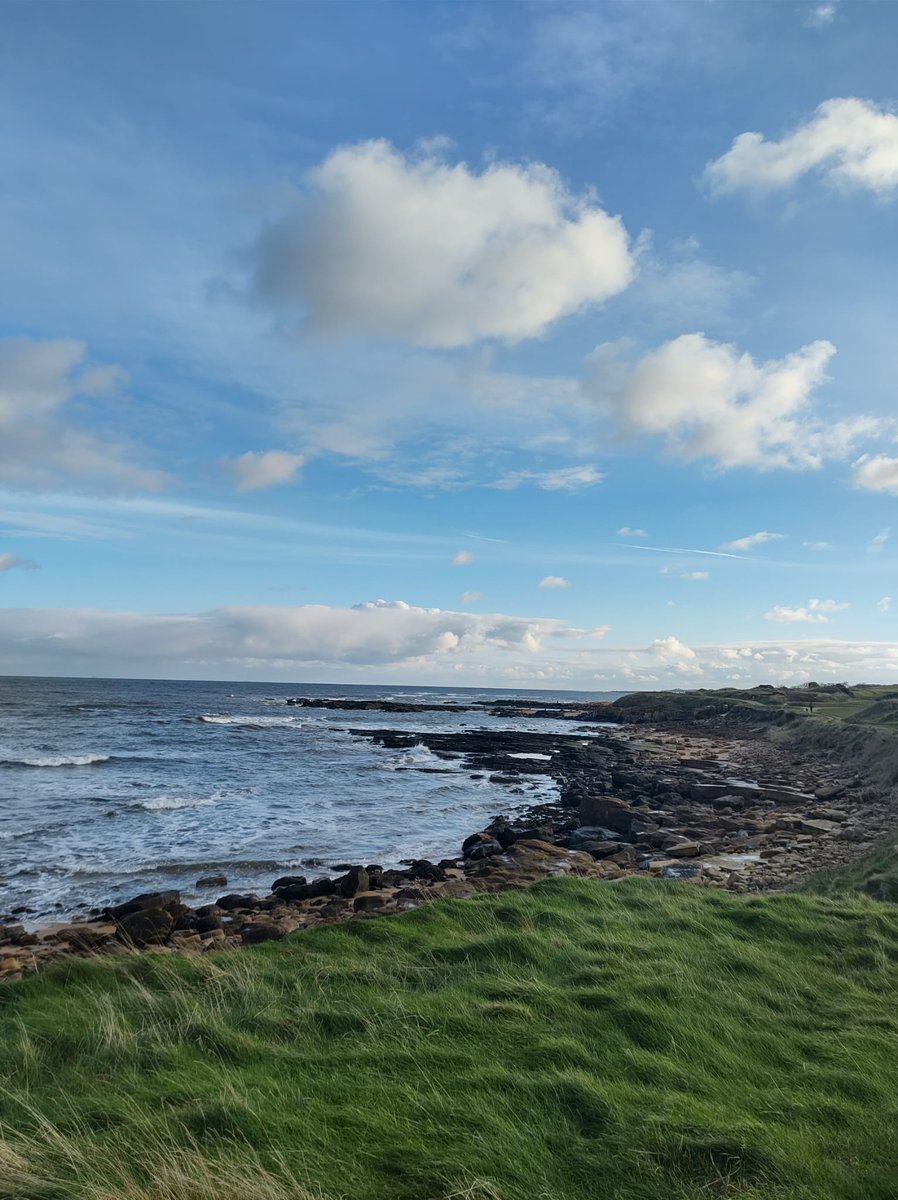 Karon Cormack tweet media