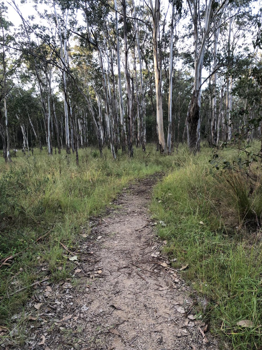 Bundogs's tweet image. Out and about enjoying another beautiful autumn morning #outandabout #coffeenow #wheresmysteak