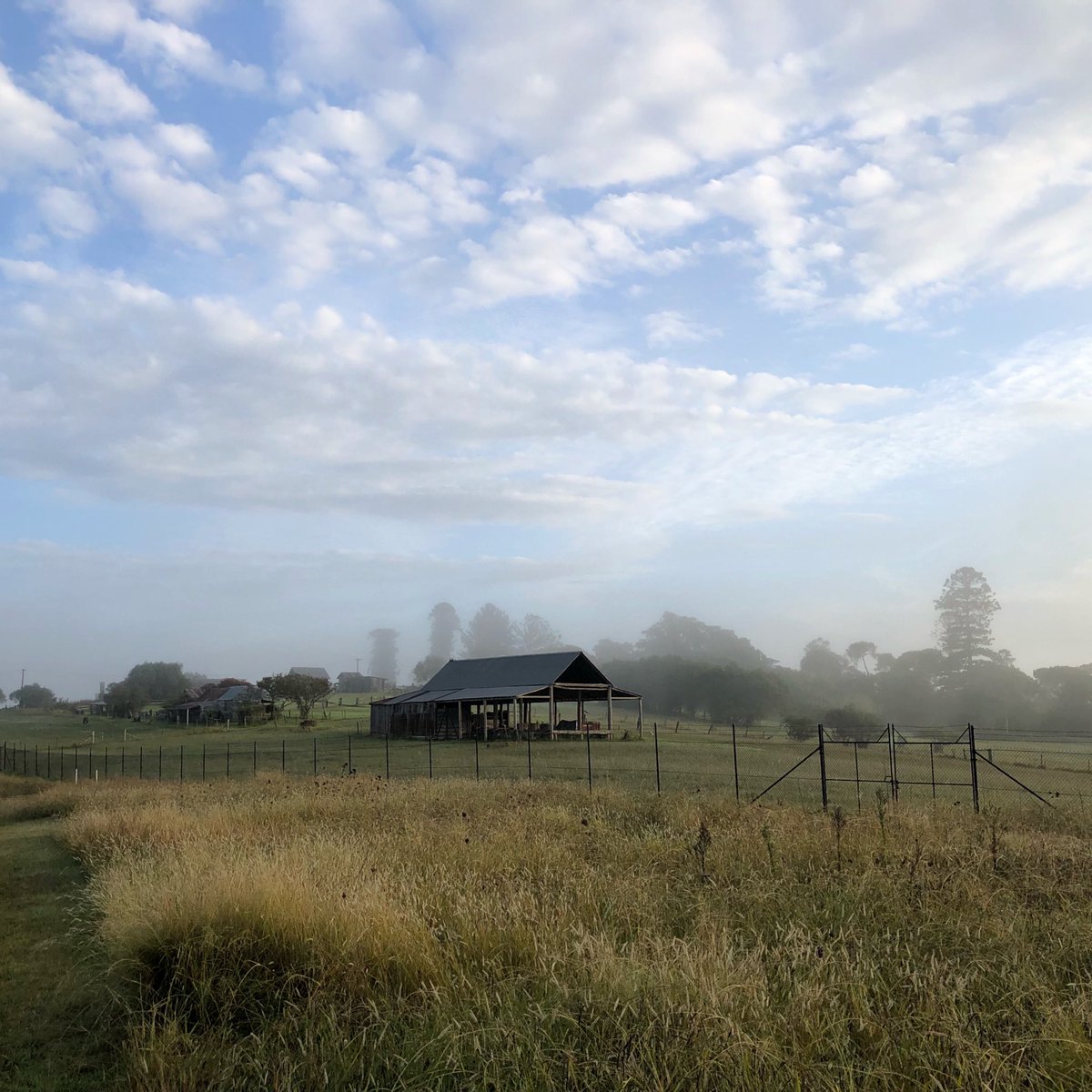 Bundogs's tweet image. Out and about enjoying another beautiful autumn morning #outandabout #coffeenow #wheresmysteak