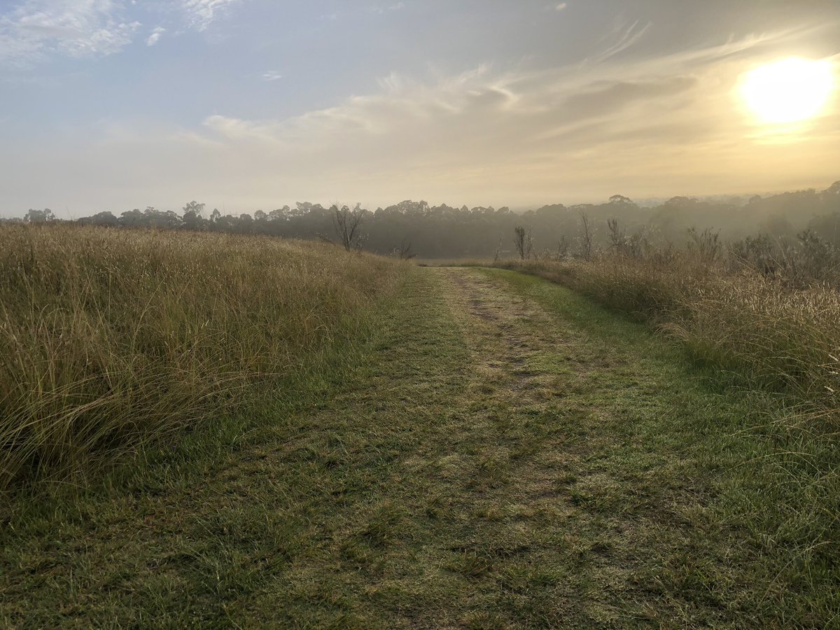 Bundogs's tweet image. Out and about enjoying another beautiful autumn morning #outandabout #coffeenow #wheresmysteak