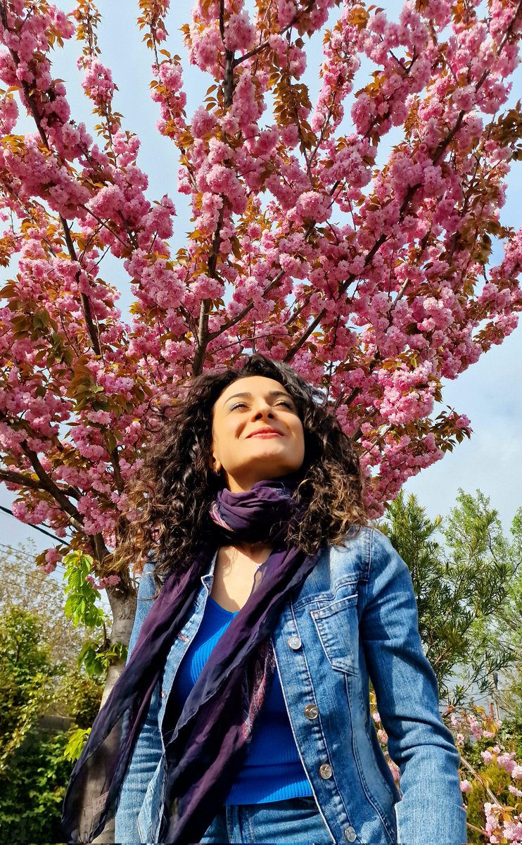 singertamara888's tweet photo. #SAKURA 
#2023sakura https://t.co/VmLupz6YnO