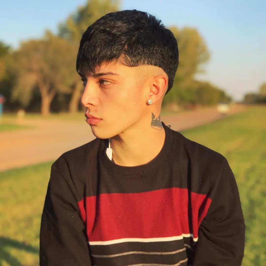 🍃🍃🍃