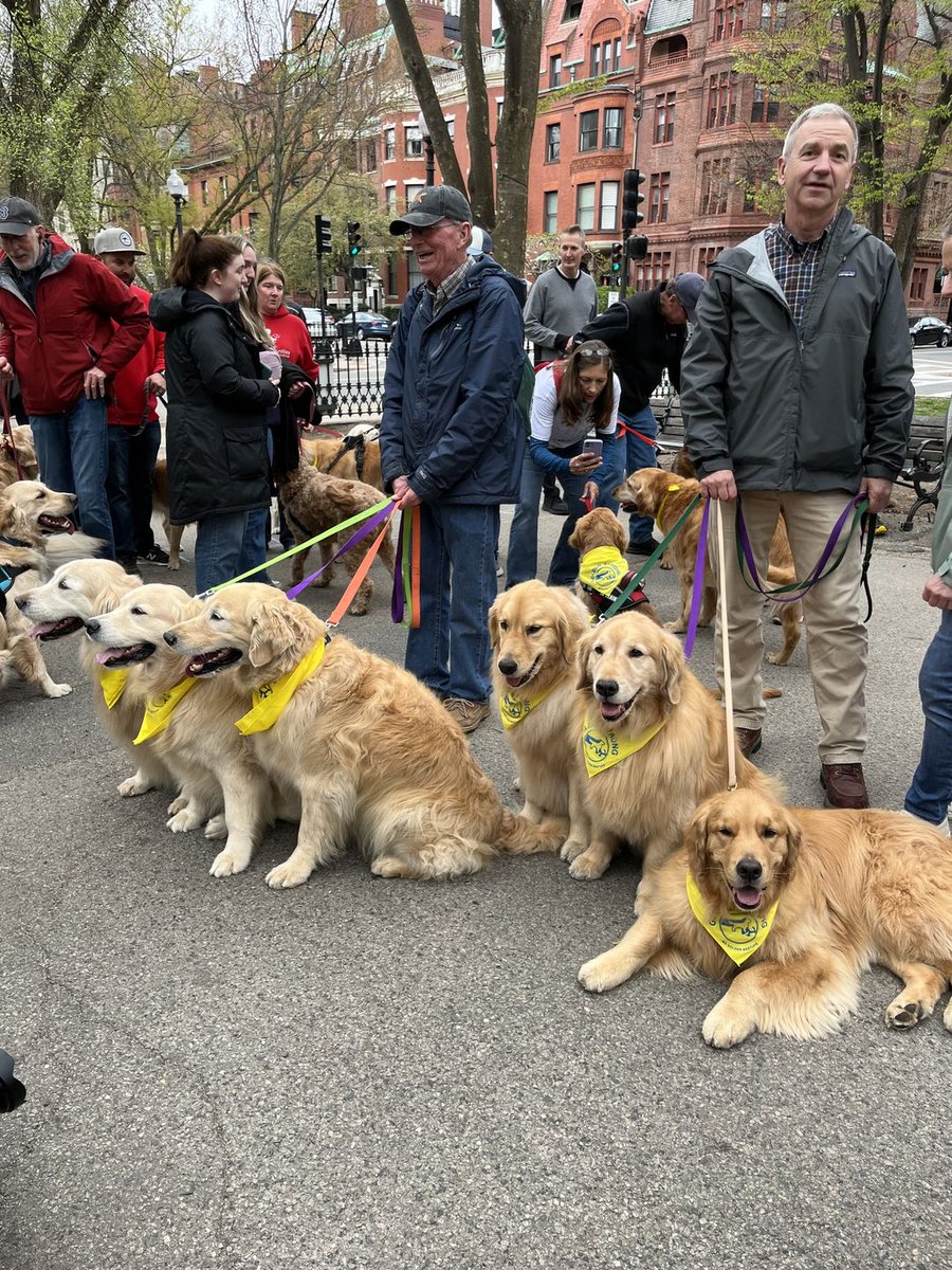 An estimated 500,000 spectators watched yesterday's Boston Marathon.
Guess who were our favorites? ❤️
These guys came out in honor of Spencer, a golden who was famous for cheering on runners, but lost his life to cancer this winter. 
RIP Spencer 
#BostonMarathon2023