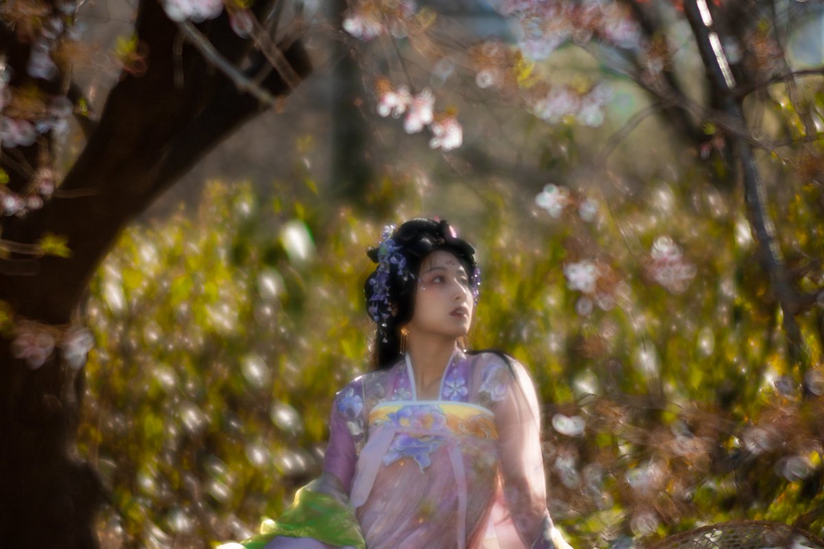 RlTechGeekpics's tweet photo. "Cherry Blossoms are similar to summer. Soon as they bloom is only when we can truly appreciate the ever lasting beauty of the season just like the rose"
Anil Parekh
Pic: @realtechgeekphoto IG
Graphics :@kimphotos.nyc
#chinesemodel
#sakura
#hanfumodel
#cherryblossoms https://t.co/ytKpDWaZSL