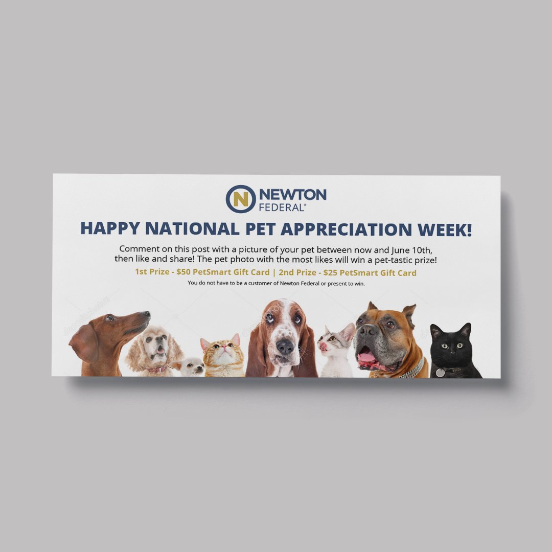 SquidPixels's tweet photo. 🔥 Look how cute these social media graphics are that we created for our friend @newton_federal! Which option do you like the most: 1 or 2? 🐶🐱 https://t.co/xT1QsDtvcq