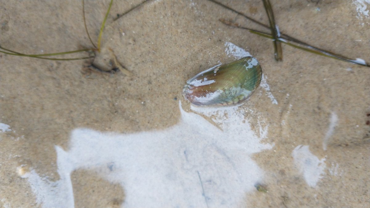 Tim Ferrero tweet media