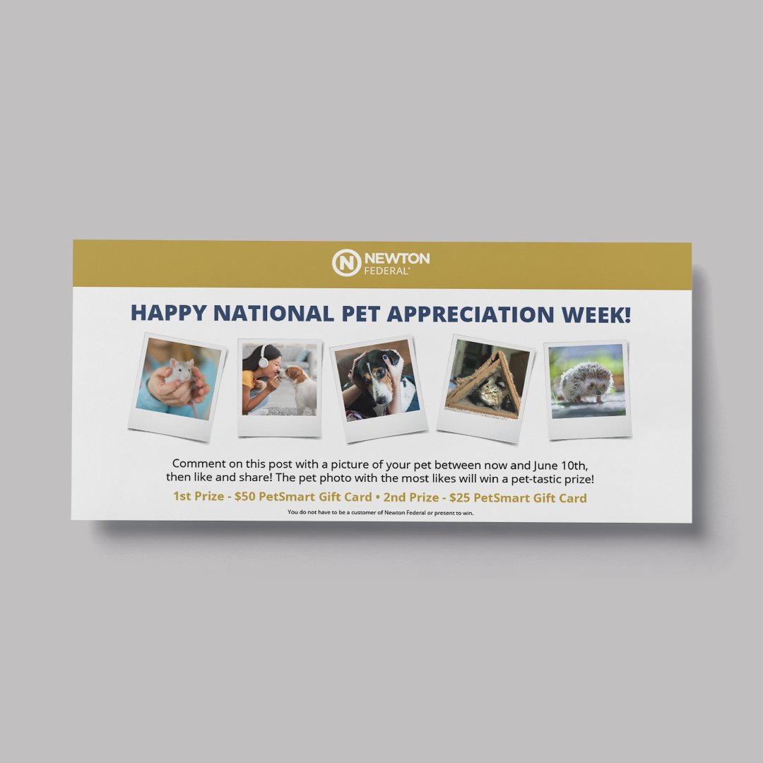SquidPixels's tweet photo. 🔥 Look how cute these social media graphics are that we created for our friend @newton_federal! Which option do you like the most: 1 or 2? 🐶🐱 https://t.co/xT1QsDtvcq