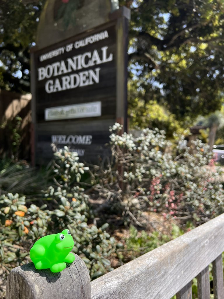 Dr Shelly Conroy tweet media