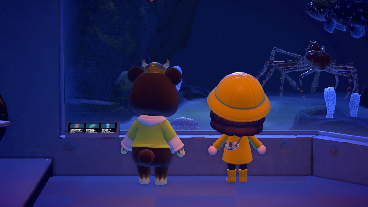 TehEpicKitty's tweet photo. RIP TO ANYONE TRYING TO TALK TO ME CAUSE MY PHONE DIED AND I CANT FIND A CHARGER NOT EVEN MY SWITCH CHARGER WILL WORK I HOPE FROGGIE SEES THIS #AnimalCrossing #ACNH #NintendoSwitch https://t.co/RXXZuRpzsF