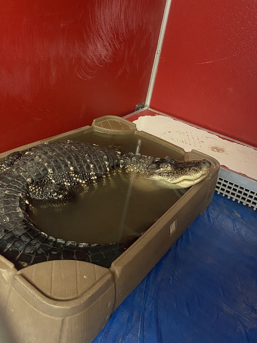 ACCT Philly tweet media