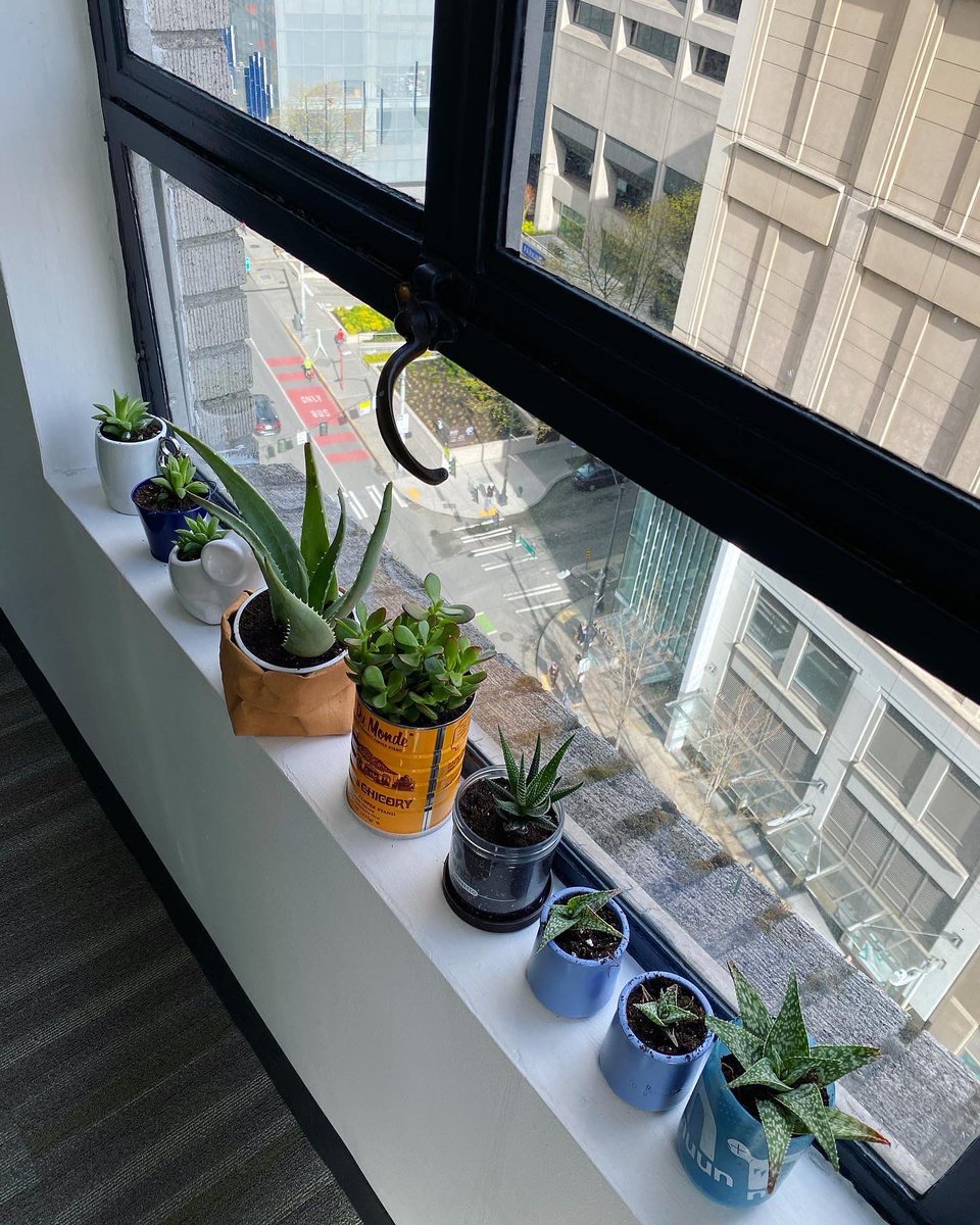 FarallonLLC's tweet photo. The Seattle office is kicking off Earth Week by re-potting and adopting starter plants in upcycled containers! 🌱♻️ #earthday #plants #upcycle https://t.co/jfY2SZp6pA