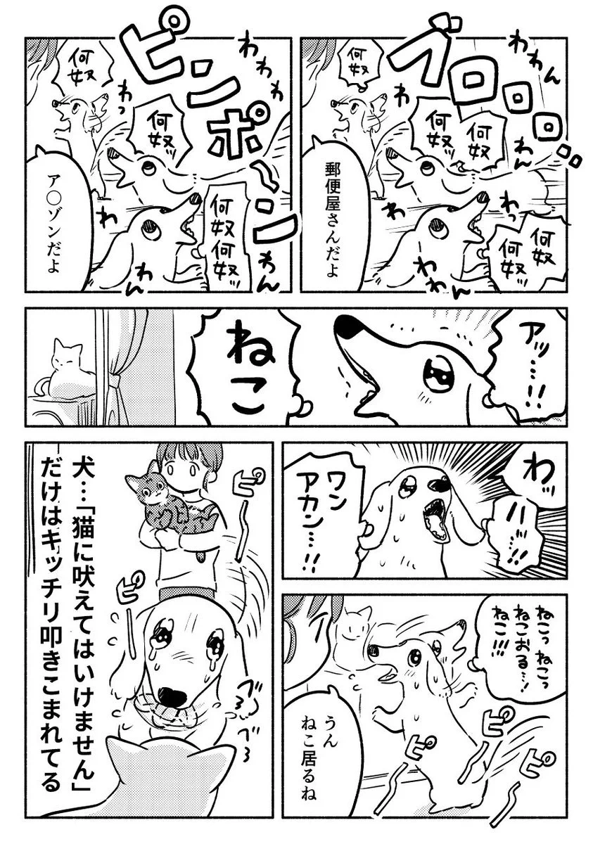 猫にしつけられた犬はこうなる！絶対に「猫に吠えてはいけません」！