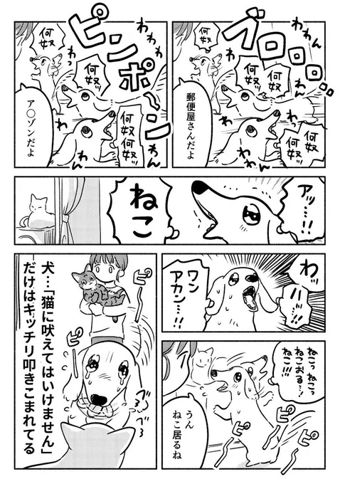 猫に躾けられし犬