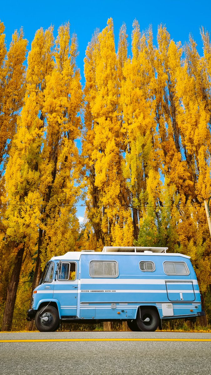 labondioargenta's tweet photo. @CamperFanPAGE We are living in a van since oct 2021

@labondioargenta our ig ��� https://t.co/UrR27yzw7Q