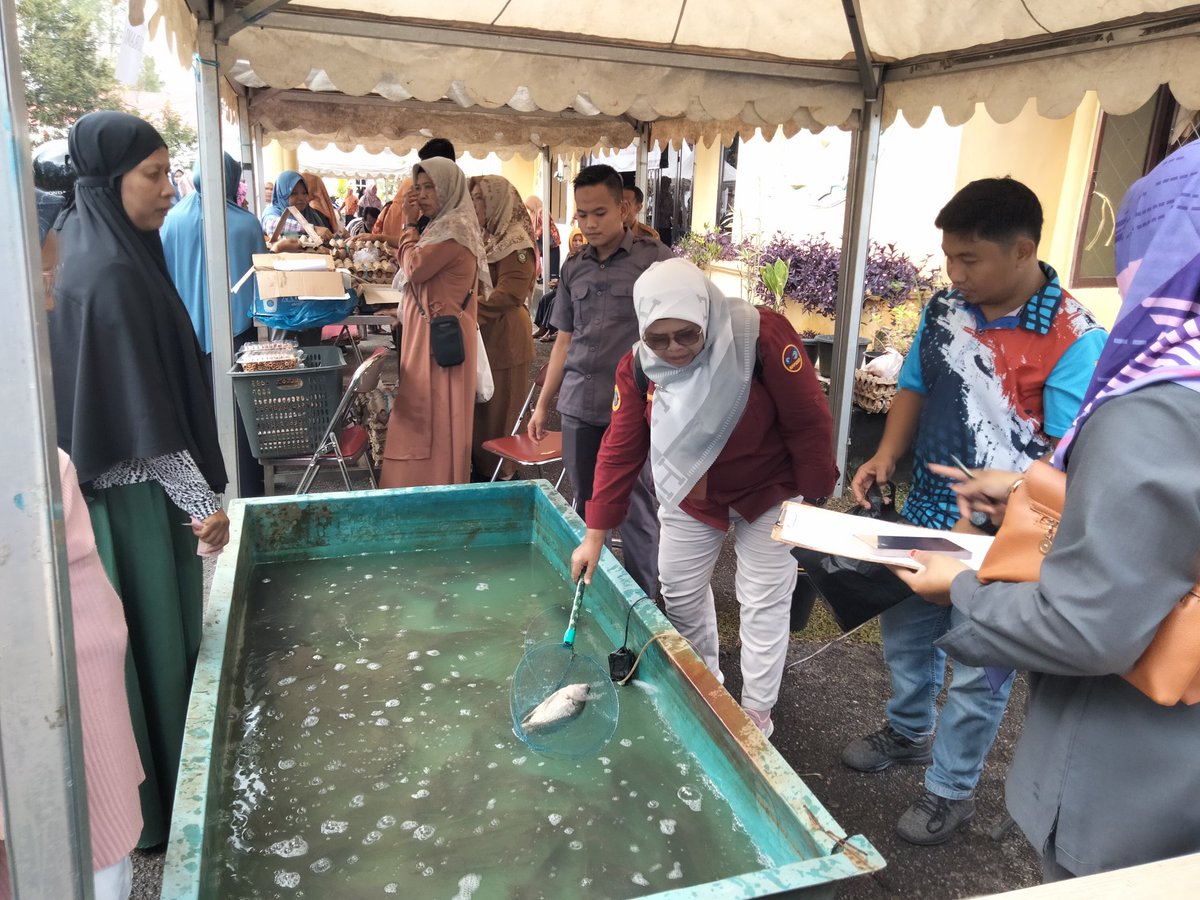 YuyunSutia's tweet photo. Selasa ,7/3/2023,Yuyun Sutia S.Pi Luhkan Kab Bungo Produksi Ikan Gurami dan Nila di Kelurahan Pasir Putih Kec.Rimbo Tengah dengan Produksi Gurami 50 kg harga Jual 55000/kg dan Ikan Nila 90kg dengan Harga Jual 35000/kg
#GiatLuhkanSatminkalBRPPUPP
#produks
#luhlapor https://t.co/Hrs68KelIc