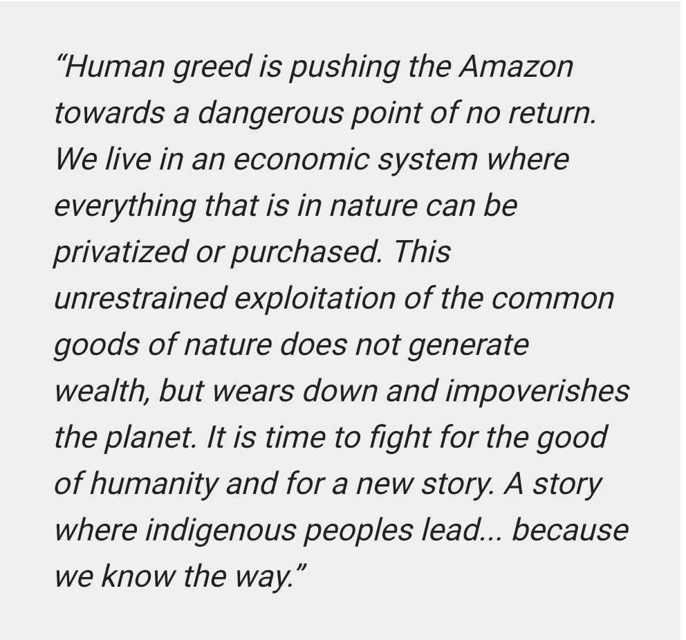 maddy_improving's tweet image. Sonia Guajajara, a warrior of the Guajajara people of the Brazilian Amazon, and the first-ever Minister of Indigenous Peoples of Brazil.#saveamazon #amazonforest