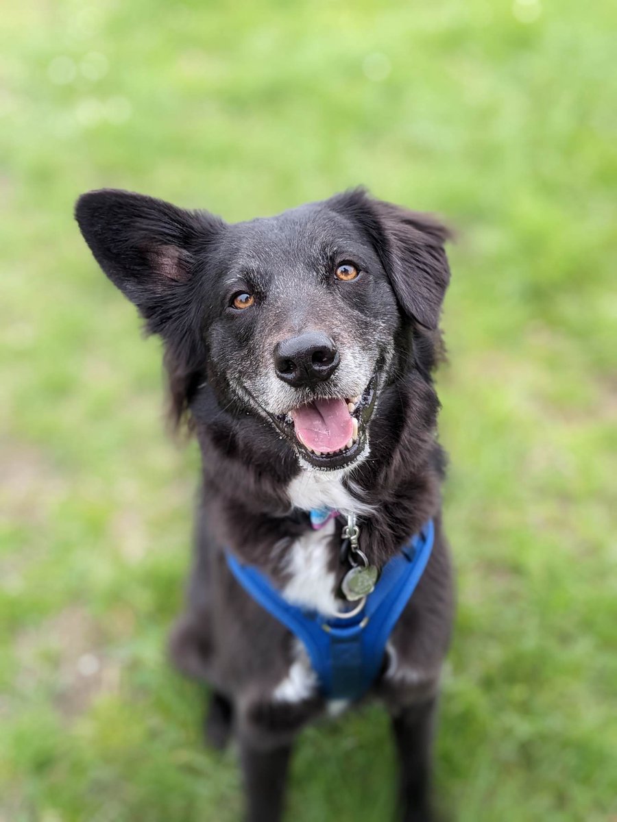 Bengineering tweet media