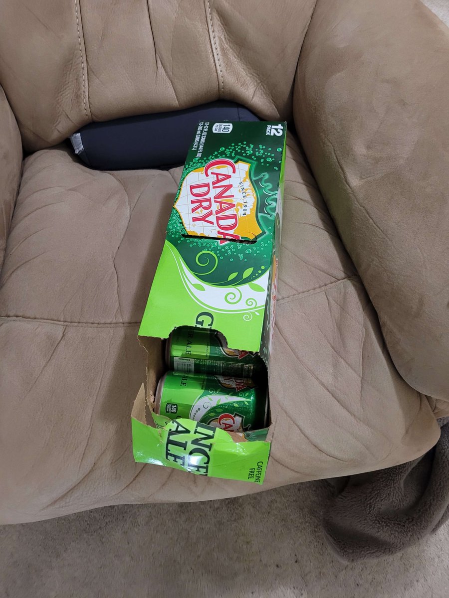Zulli85's tweet photo. @CanadaDry First can out of the case. https://t.co/M00JNTDU95