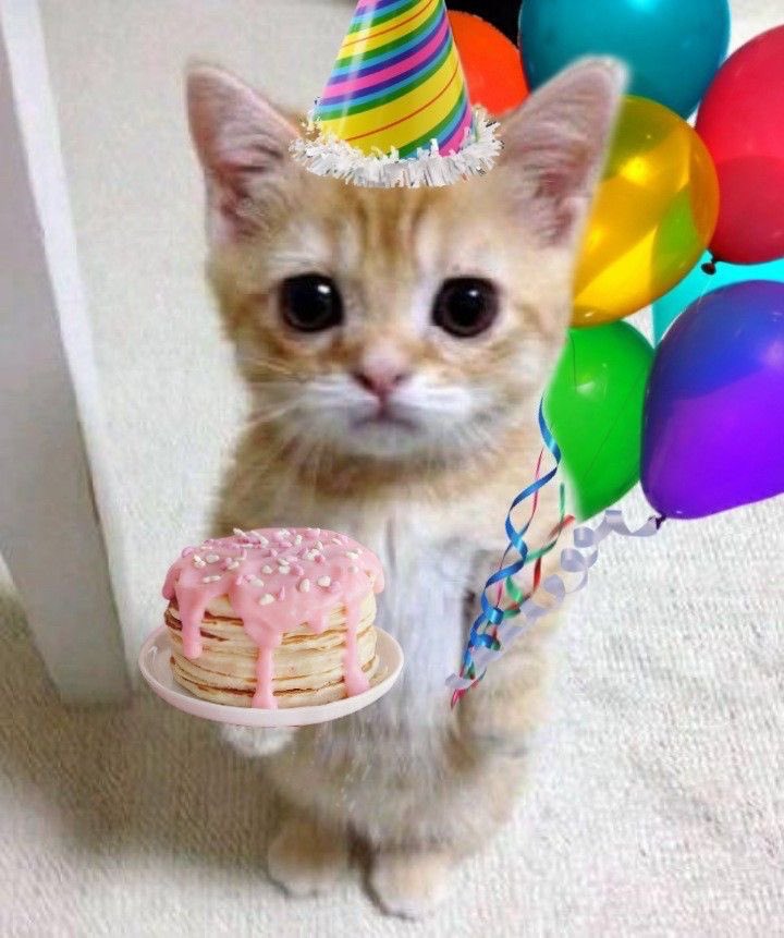 luizinhaabc's tweet photo. feliz aniversário, minha willa! https://t.co/i4ecszXEuz