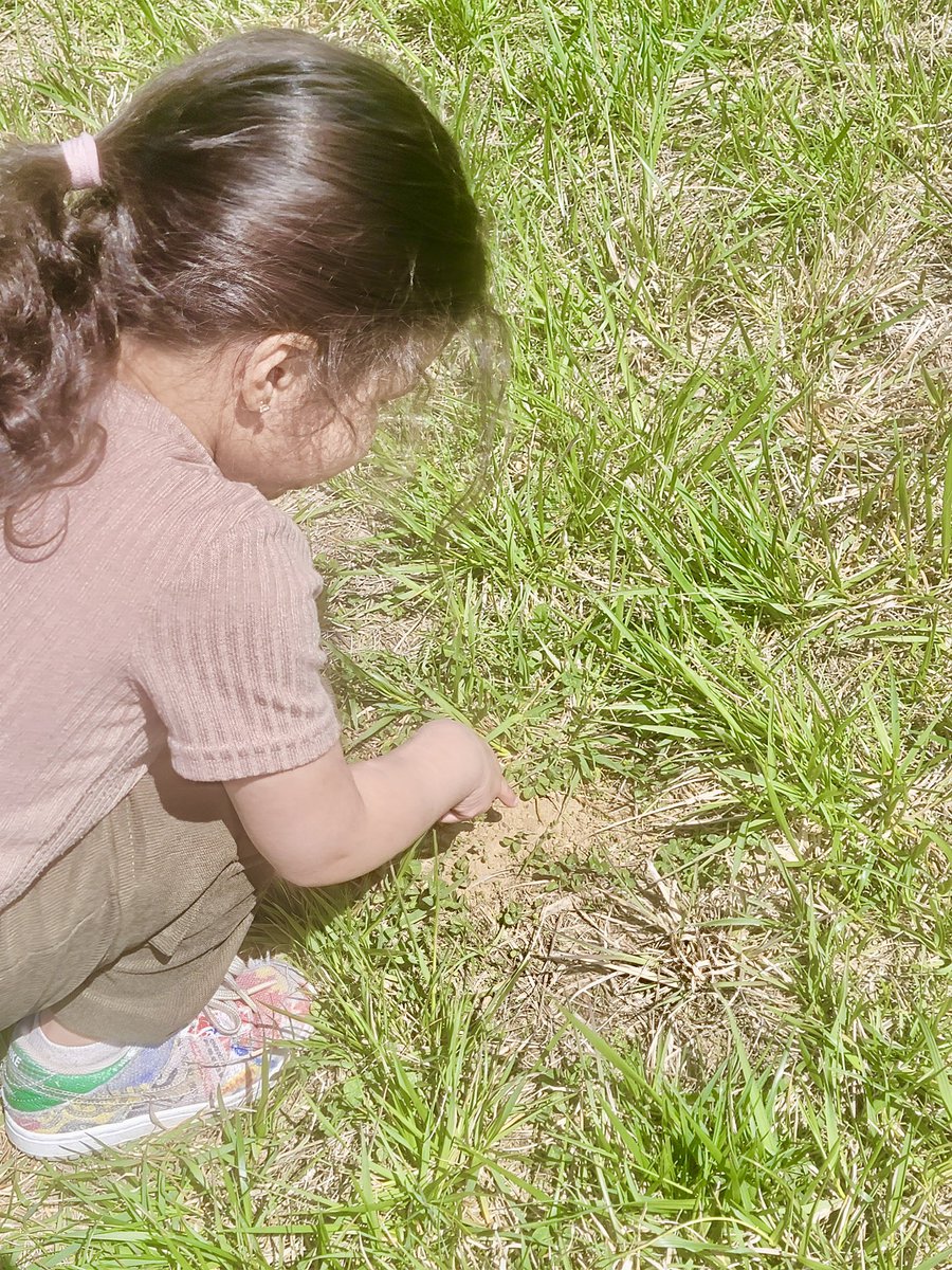 CarlenaSheeran's tweet photo. The #HCSPreschool scholars in Tara Martin’s class @ceciliavalley went on an insect hunt & talked about how it would feel to live life like an insect. 🐞🐜🪲 They also discussed the environment where each insect lives. 🦗🦟🪳#HCSBetterTogether #InsectHunt #OutdoorLearning #Nature https://t.co/KO0EZC1sKN