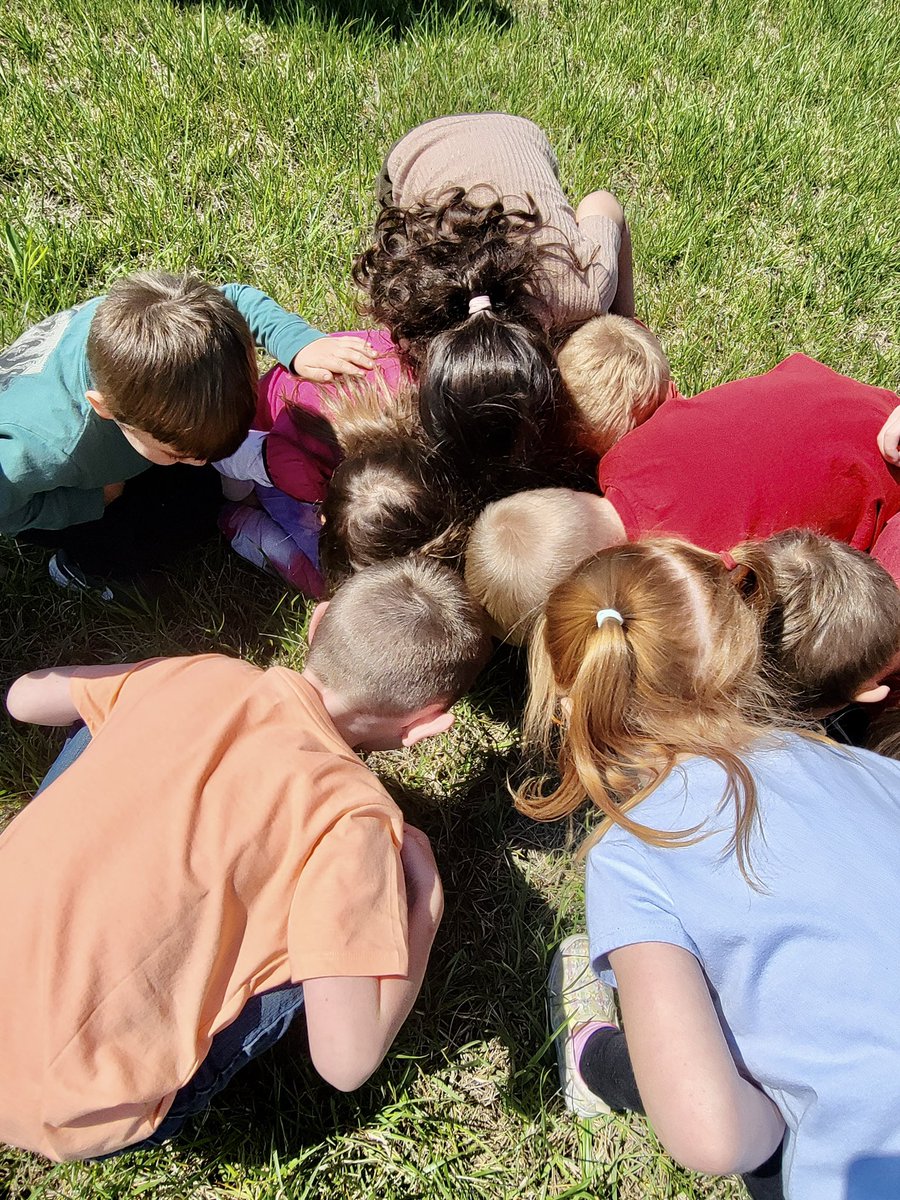 CarlenaSheeran's tweet photo. The #HCSPreschool scholars in Tara Martin’s class @ceciliavalley went on an insect hunt & talked about how it would feel to live life like an insect. 🐞🐜🪲 They also discussed the environment where each insect lives. 🦗🦟🪳#HCSBetterTogether #InsectHunt #OutdoorLearning #Nature https://t.co/KO0EZC1sKN