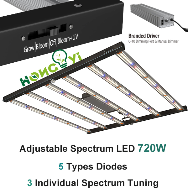 HongYi Newest Switchable Spectrum LED 720W

Email:sumer@hongyidg.com
Skype &WhatsApp & Wechat & Phone: 86-18186844638
#FullSpectrumLed  #CBD #CommercialGrow #Farming #Horticulture #Hydroponics #IndoorFarming #420 #Cultivation #homegrown #Indoorgarden #Rockwool #Kush #growers