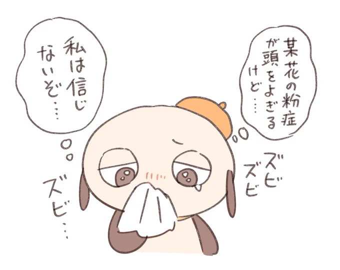 ここ数日くしゃみと鼻水と目の違和感が止まらないんですが、これは・・・何? 