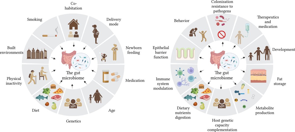 Phenomics_J's tweet photo. The power of #commensal #bacteria in restoring a health state.
#gut #therapy #inflammation #Phenomics @cellhostmicrobe
Read more here : https://t.co/venWzPE1W1 https://t.co/SxVaNiLNlJ