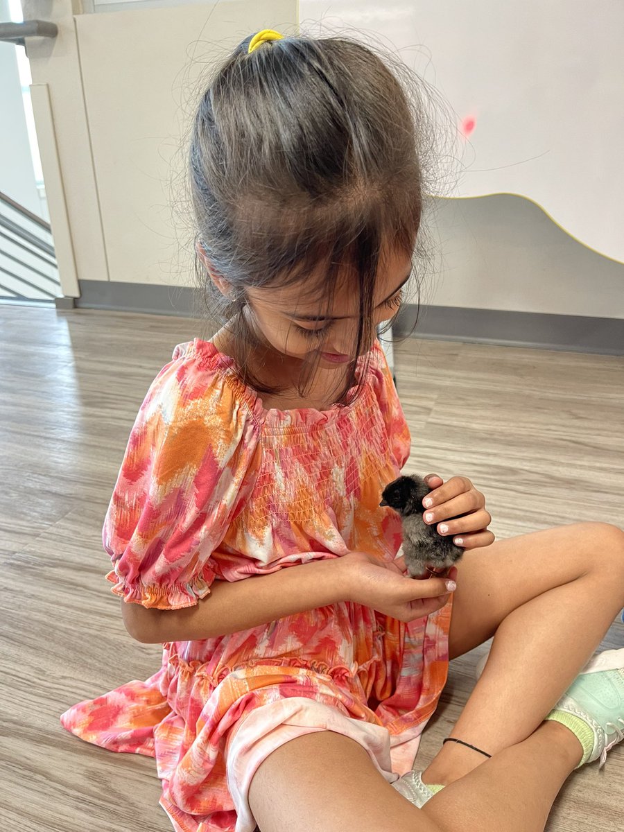 Ms_Weir_'s tweet photo. It’s safe to say we want to keep them forever 🥹🐣 https://t.co/W2dTcHuF9l