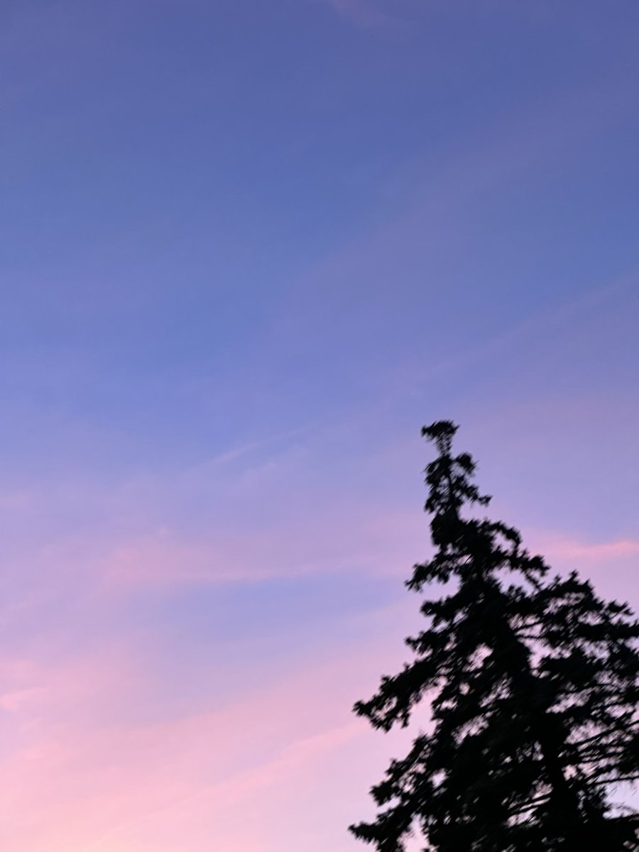 Mr. Big Talk tweet media