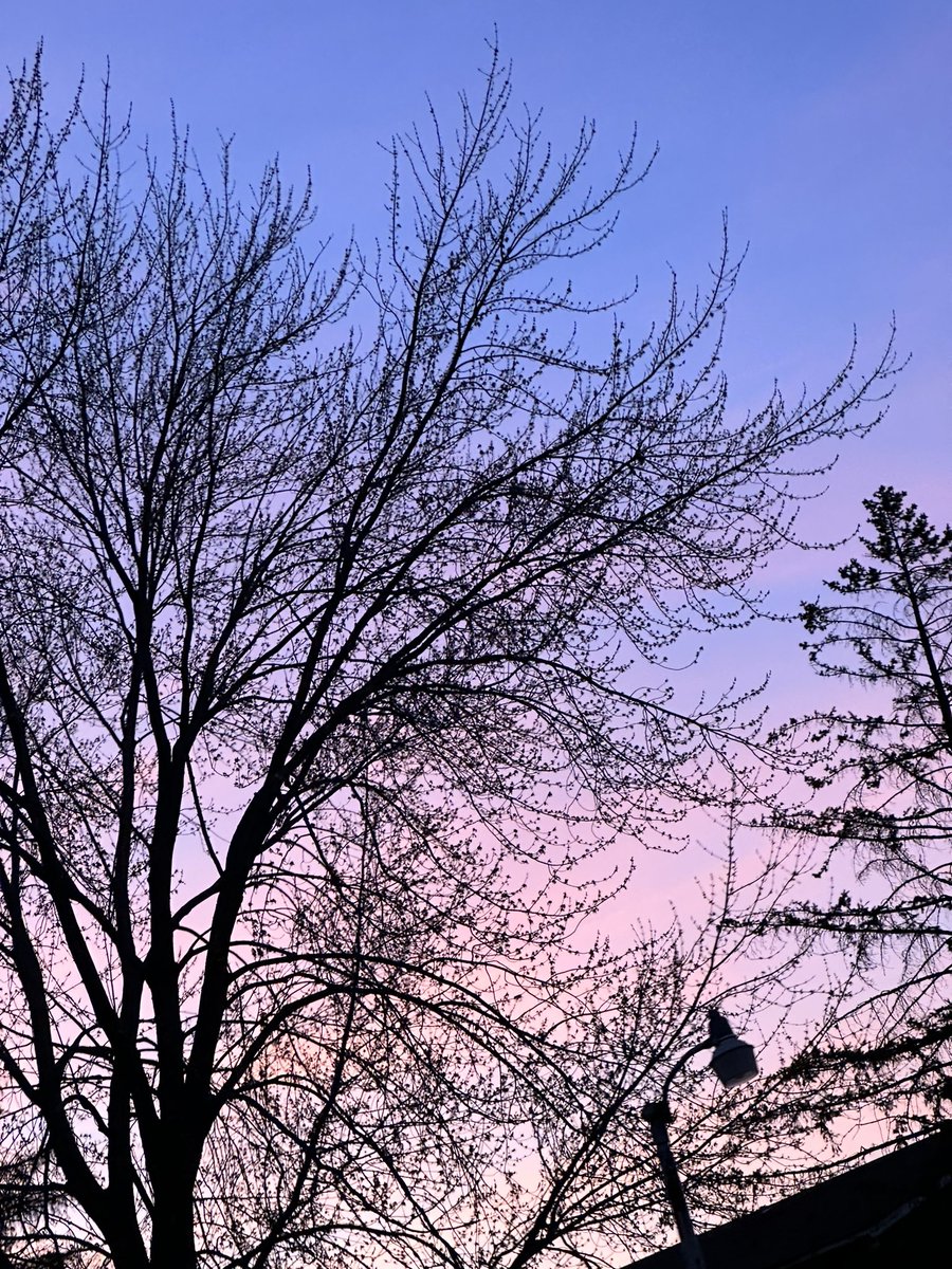 Mr. Big Talk tweet media