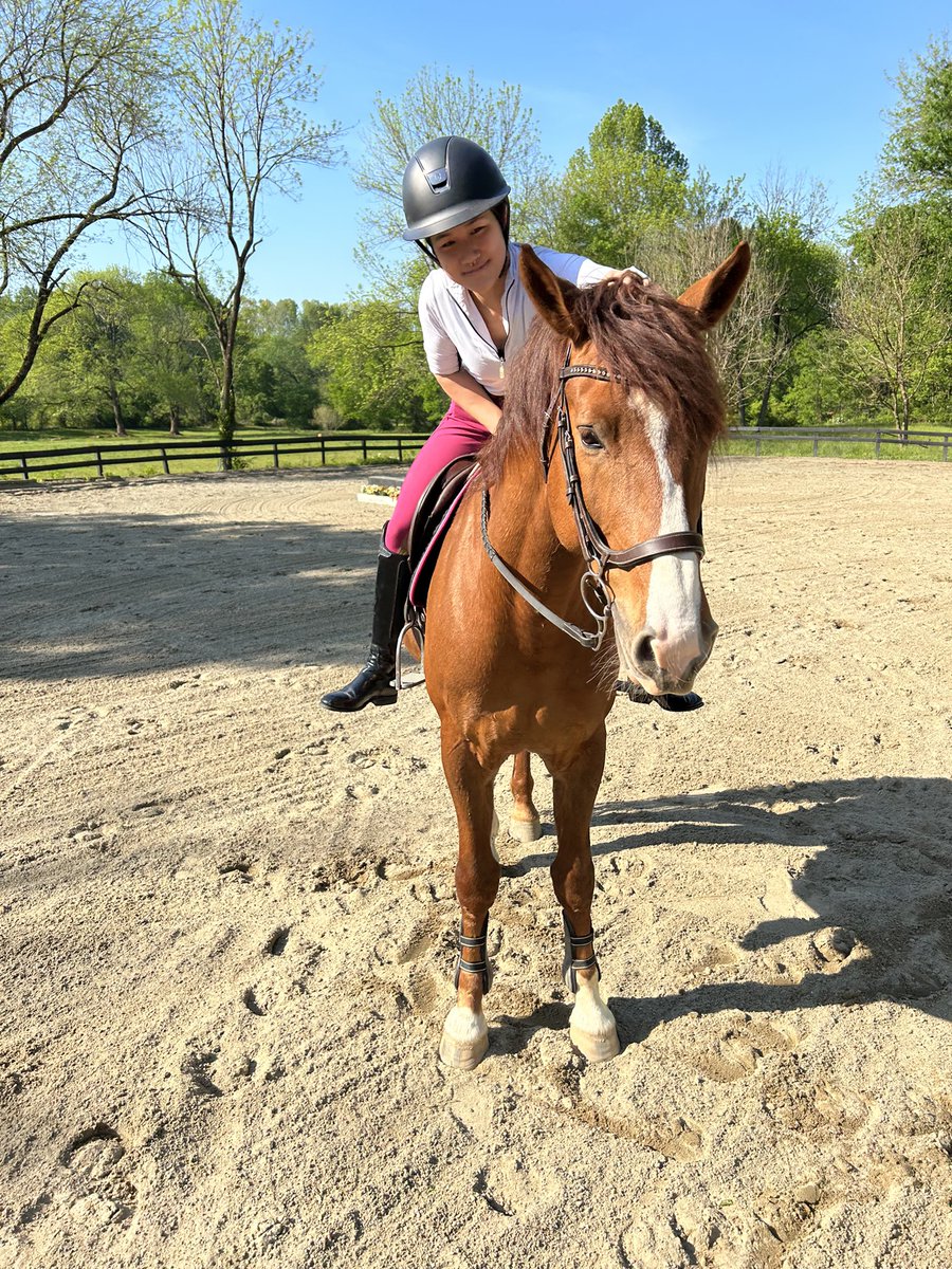 TrakehnerEq's tweet photo. rode fabio &amp; ate dinner with a corgi puppy named brisket (he fell asleep in my arms) https://t.co/cGfeaFTKjs