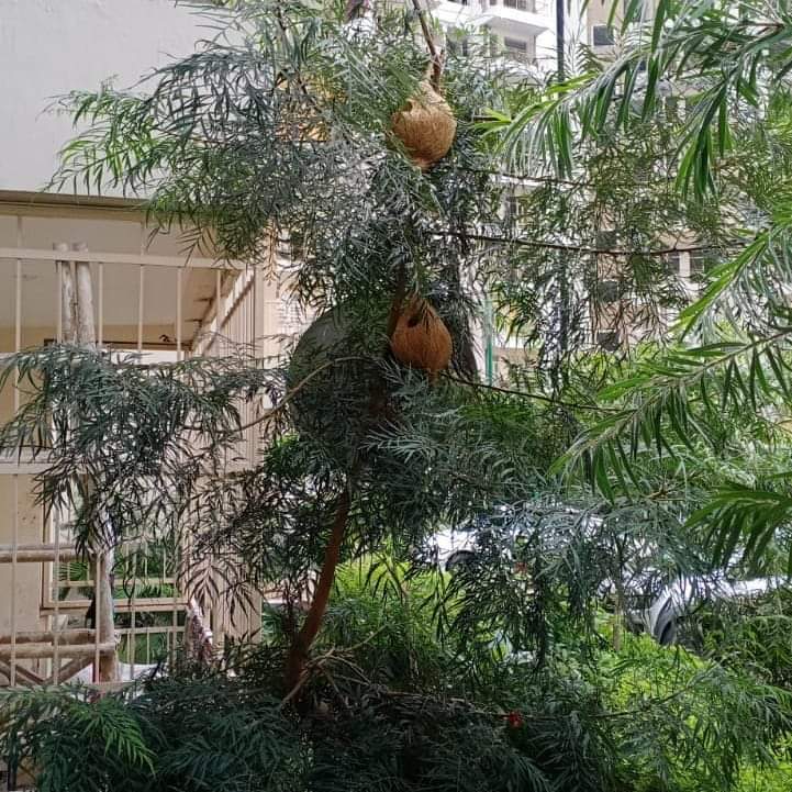 Tapesh Tiwari tweet media