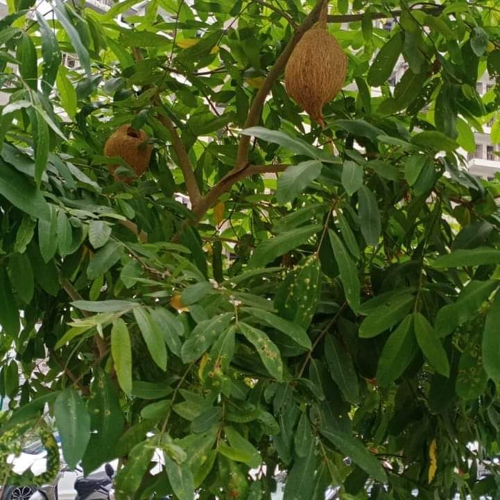 Tapesh Tiwari tweet media