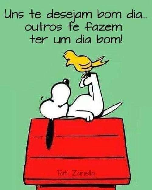cleide_borges's tweet photo. https://t.co/0pbRisN5sg