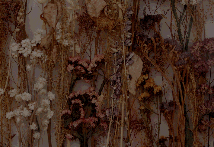 lateflowers's tweet photo. * 𝘛𝘩𝘦 𝘴𝘰𝘶𝘯𝘥 𝘰𝘧 𝘮𝘶𝘧𝘧𝘭𝘦𝘥 𝘳𝘢𝘪𝘯 𝘰𝘯 𝘵𝘩𝘦 𝘤𝘢𝘷𝘦𝘵𝘰𝘱...

#UTRP #MVRP https://t.co/PNYThfpT7M