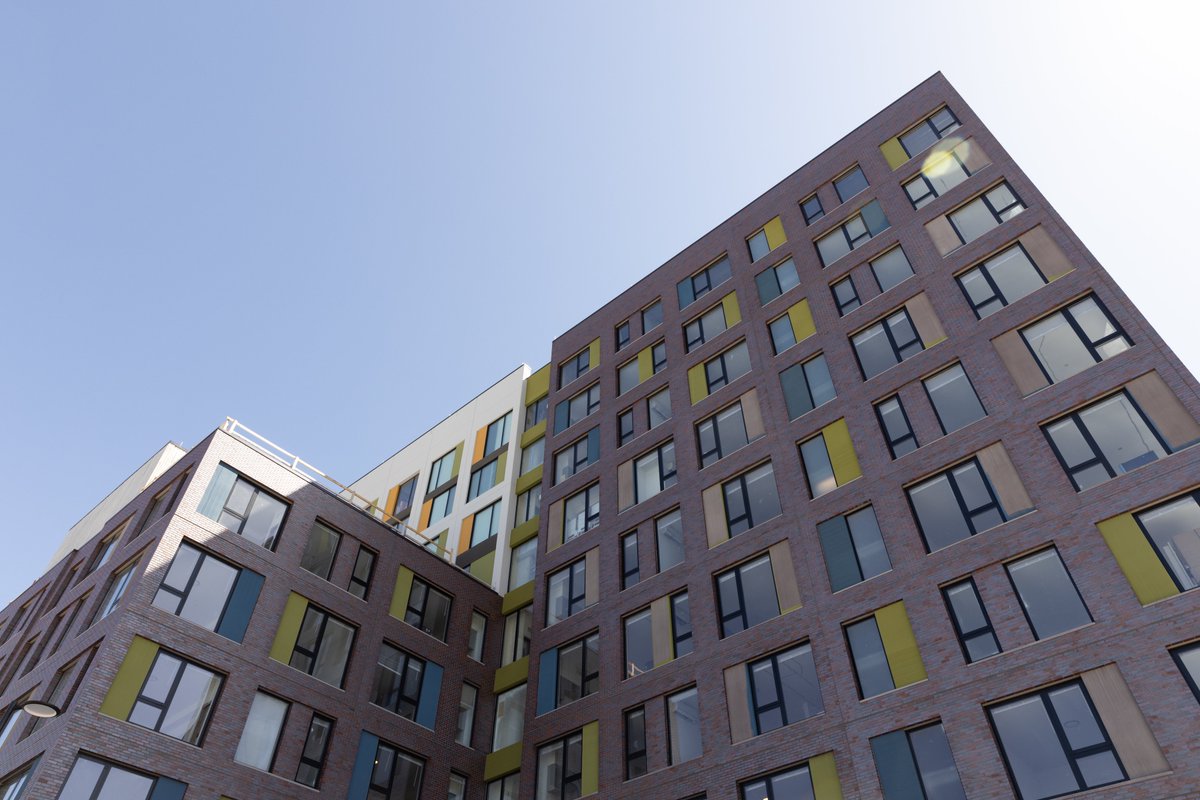 Adam Shimer tweet media