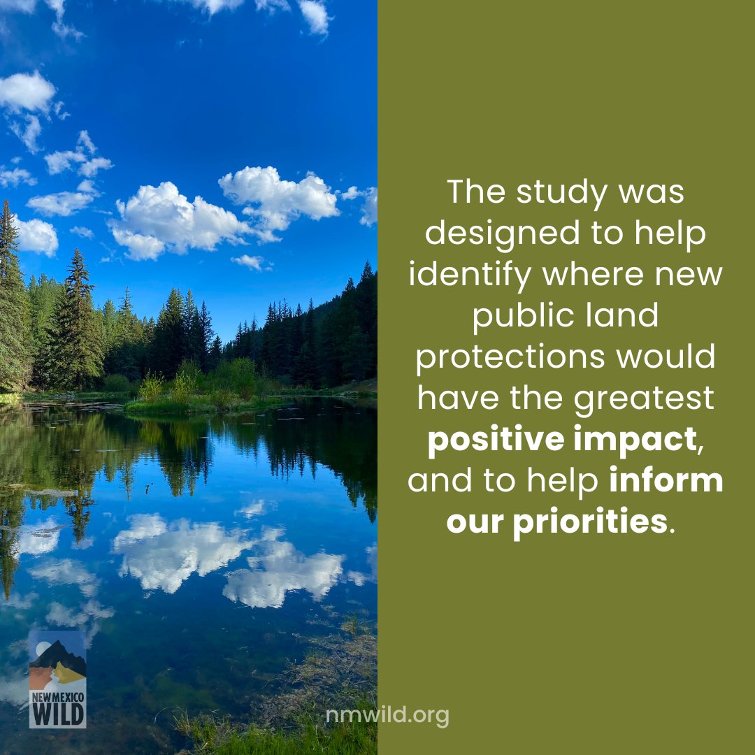 nmwild's tweet photo. JUST RELEASED: A new study we commissioned from EcoAdapt examines how protecting public lands in #NewMexico can help mitigate #climatechange and #biodiversity loss.
Explore the full study: https://t.co/eSLtCwk5Xo
#keepnmwild #nmwild #conservation #NMTrue #publiclands https://t.co/p8WlUnT6Kr