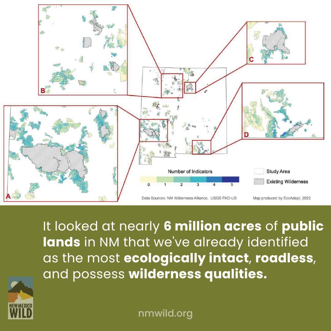 nmwild's tweet photo. JUST RELEASED: A new study we commissioned from EcoAdapt examines how protecting public lands in #NewMexico can help mitigate #climatechange and #biodiversity loss.
Explore the full study: https://t.co/eSLtCwk5Xo
#keepnmwild #nmwild #conservation #NMTrue #publiclands https://t.co/p8WlUnT6Kr