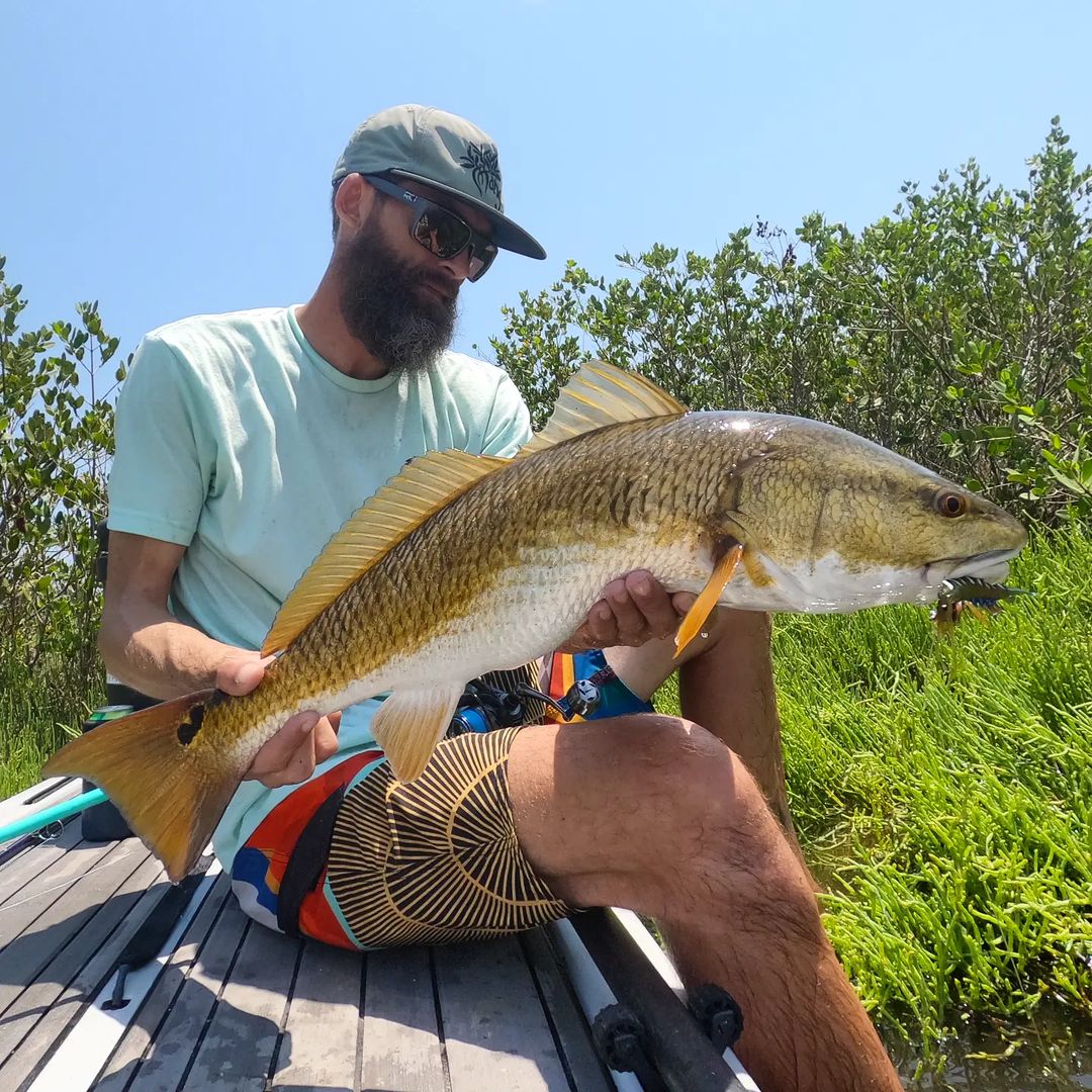 Chasebaits tweet media