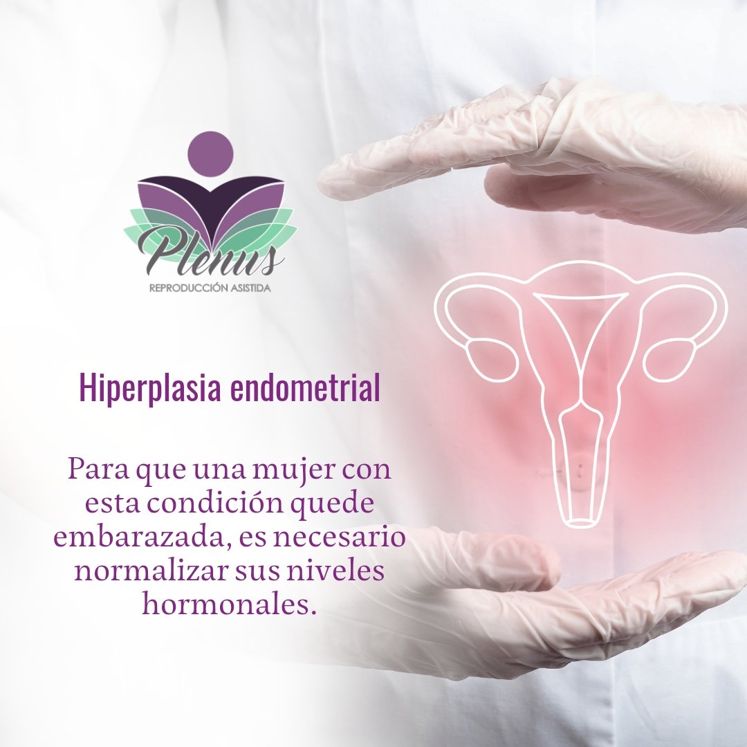 PlenusRepAs's tweet photo. ➡️ La hiperplasia endometrial es la proliferación excesiva de las células que componen el endometrio.
➡️ En general, esta alteración endometrial se produce por un desequilibrio hormonal.
#reproduccionasistida #plenusrepasistida
#infertilidad #fertilitycommunity #infertil https://t.co/xKWN63rxye
