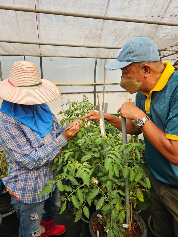 THAILAND INDUSTRY EXCHANGE TOUR DAY 2 The group went to the Department of Agricultural Extension and Kasetsart University, Kampaengsaen Campus, Nakhon Pathom Province to learn about their seed production trials in tropical vegetables.