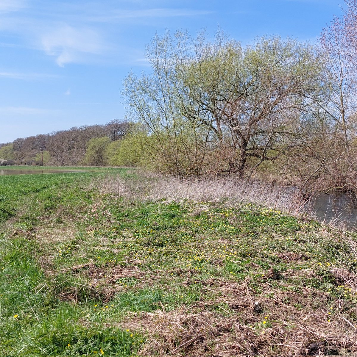 carlsayerUCL's tweet photo. Two options for a river floodplain: 1. Farmed, cracked earth &amp; no wild habitat. OR.2. Wild regenerating vegetation holding precious water in the landscape &amp; alive with creatures? If we are going to let some farmed land go let it be near river land https://t.co/c6Qpnfy94B