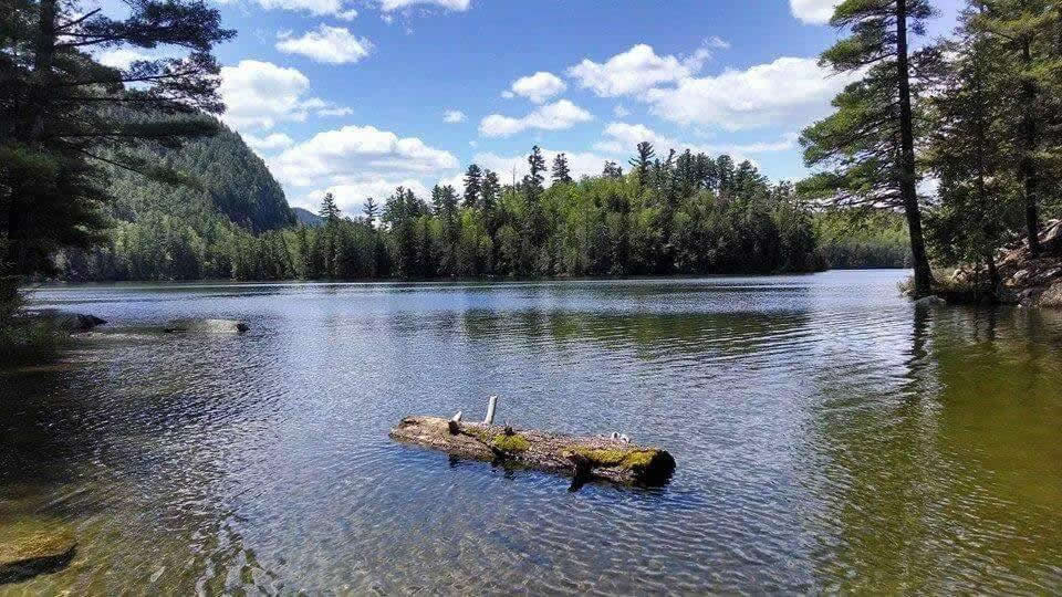 Join me June 2 to 4 for the "Out of the Woods" Women's Recovery Retreat at Pyramid Lake in Paradox NY. Bring friends, sponsors, sponsees. dianecameron.info/events-default…
<a href="/Recovery_NY/">Friends of Recovery-NY</a> <a href="/RecoveryPress/">CentralRecoveryPress</a>  <a href="/WritersRecovery/">Writers for Recovery</a> <a href="/Sober_Nation/">Sober Nation</a>