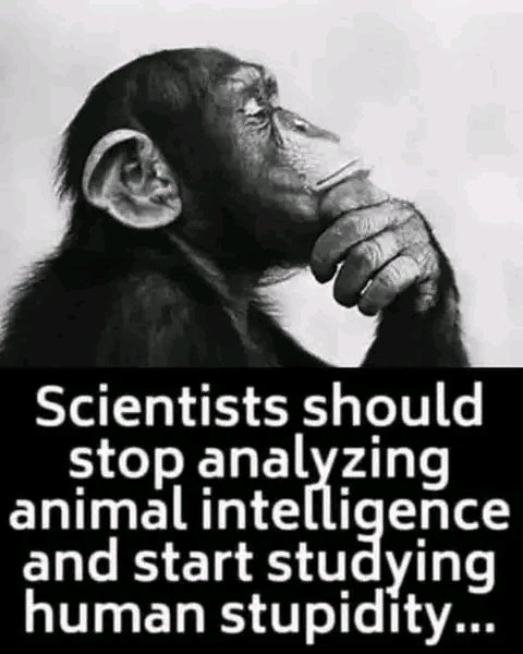 mbkwresh21's tweet photo. The TRUTH Bothers A Fake Society!
๐ Scientists Should Stop Analysing Animal Intelligence & Begin Studying Human Primitiveness Instead.
#AuthenticFact
The #TruthObservantSoul With A #RationalIntention https://t.co/AgEMYdi2q6
