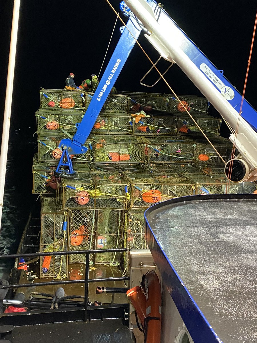 RickShelfo95374's tweet photo. The start of deadliest Catch season 19 starts tonight on discovery and discovery+. I hope you all will watch this amazing and insane season.  @DeadliestCatch 
@discovery
@OrigProduction 
@Captain_Rick_Shelford
#aleutianlady
#shelfordfisheries https://t.co/jlGN1VCU9y