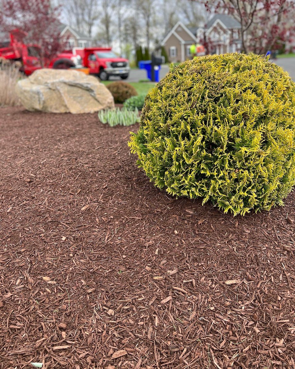 Sharp edges and fresh mulch 🌳🌿 Mulch season’s underway, it’s time to level up your yard!
___________
S C E N I C  L A N D S C A P I N G
#sceniclandscapingct #sceniclandscaping